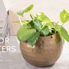 The Benefits of Indoor Planters