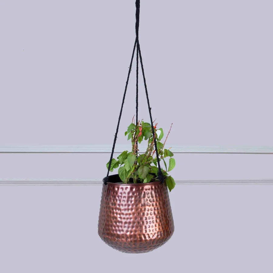 hanging copper planter Hammered Copper Hanging Planters