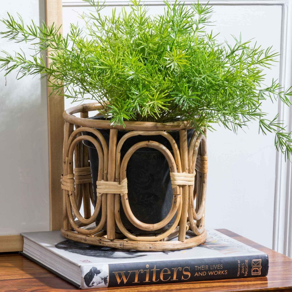 Cane store plant stand