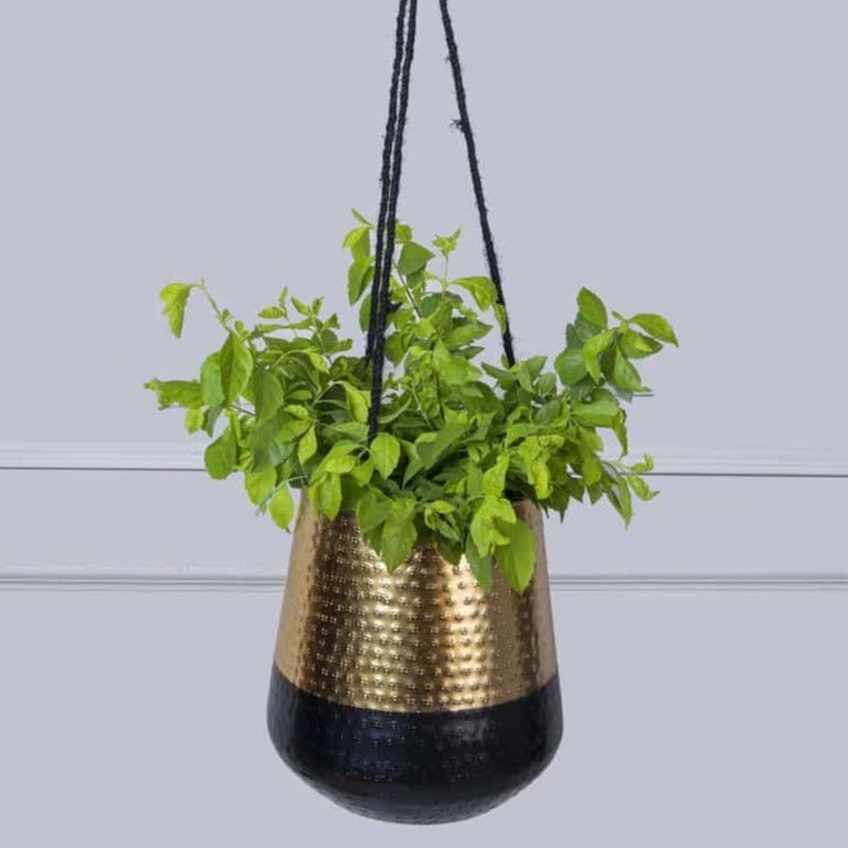 gold hanging plant pot factory Black & Gold Indoor Hanging Planter