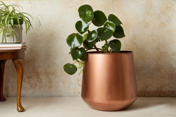 Tamra Copper Floor Planter
