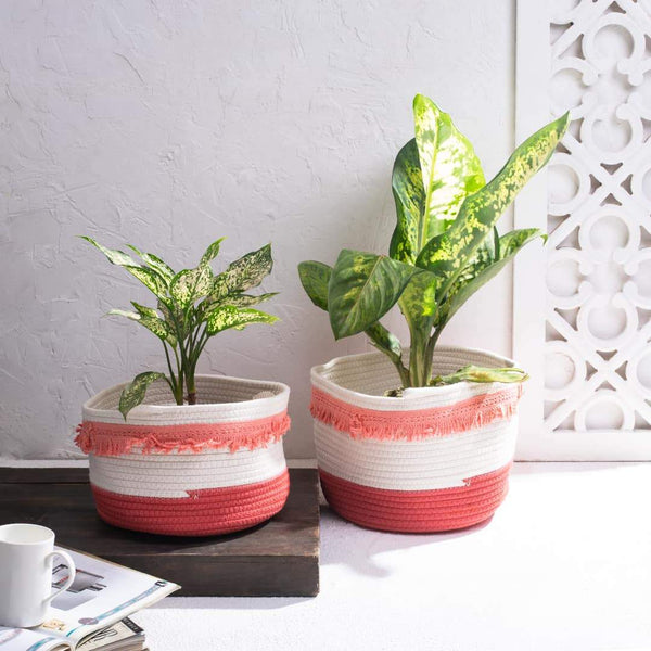 White & Pink Cotton Rope Storage Baskets