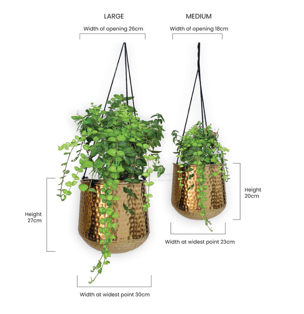 brass planter hanging Brass Hanging Planter Set
