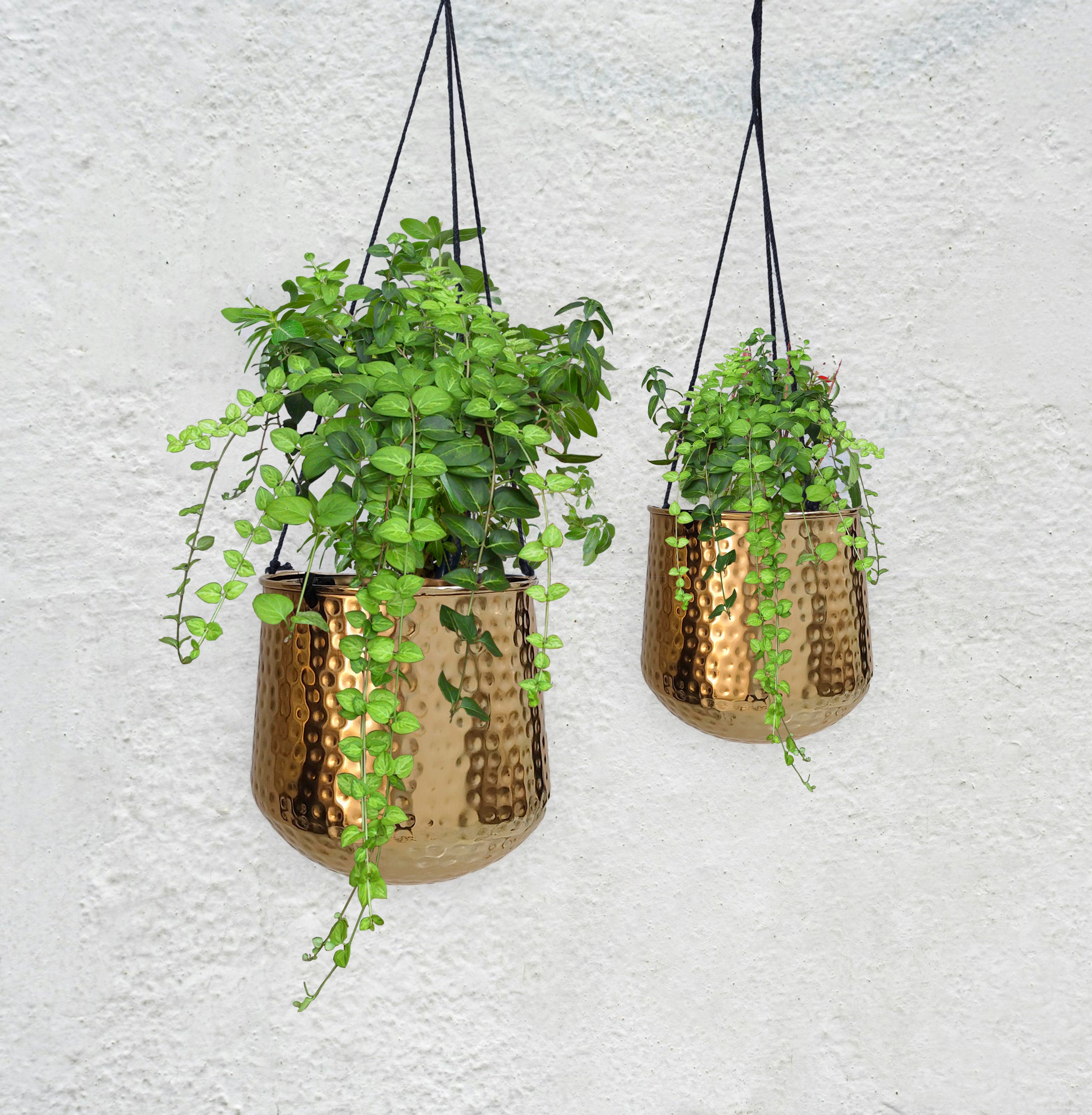 Brass Hanging Planter Set