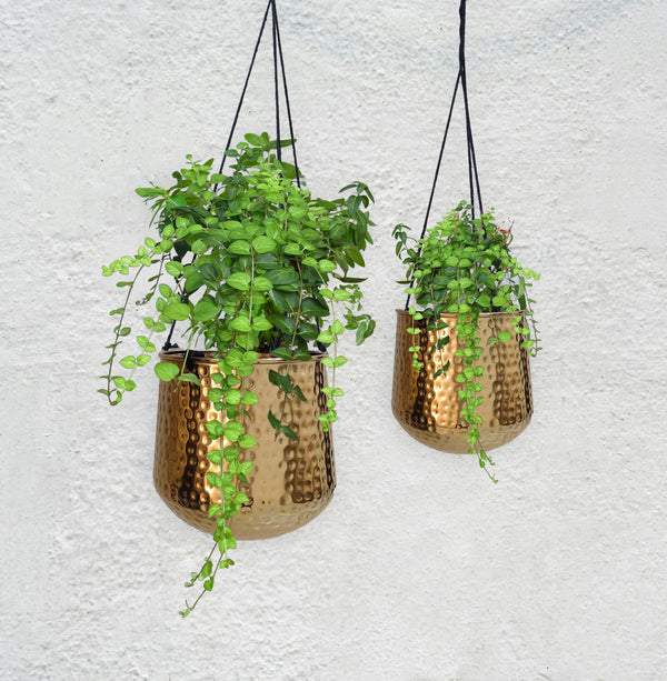 Hanging Brass Planters- Hammered Finish