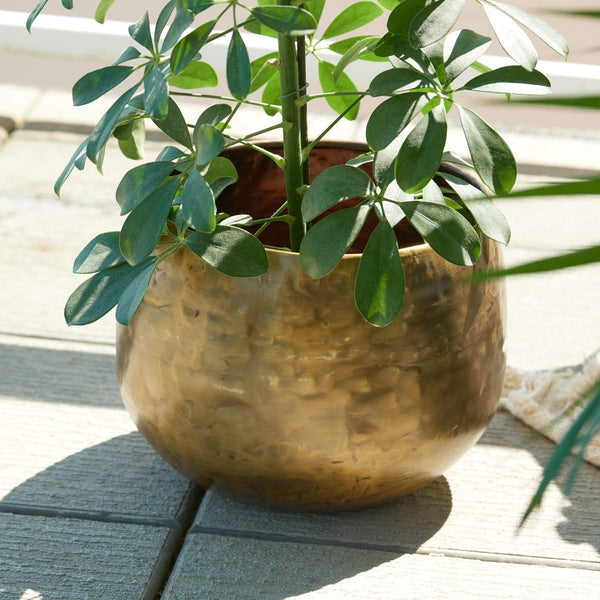 Matte Gold Brass Planter - Peetal