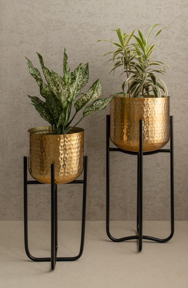 Set of 2 golden planters on a black metal stand