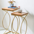 Acacia Wood Side Table with Golden Frame 'Maagh' 