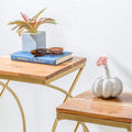 Acacia Wood Side Table with Golden Frame 'Maagh' 