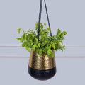 2 Tone Black and Gold hanging planter