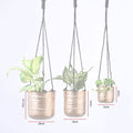 Hanging Planter Pots | Gold Finish 
