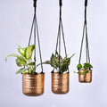 Set of 3 brass hanging planters in 3 sizes