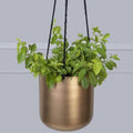 Set of 2 Indoor Hanging Planters | Brass And Iron 