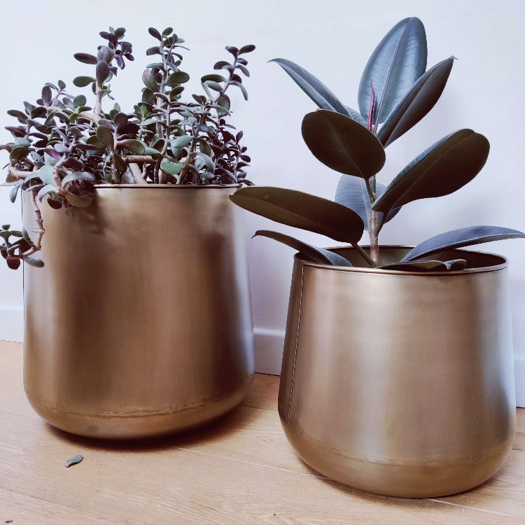 Large Brass Indoor Plant Pots - Mytri Designs